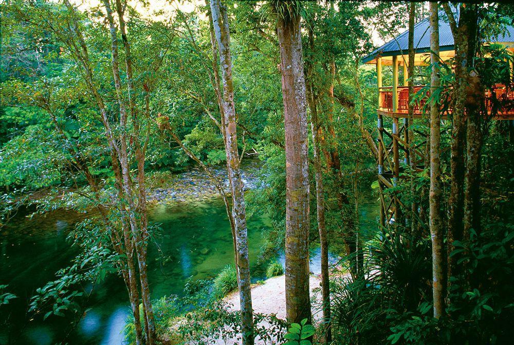Silky Oaks Lodge Mossman Exteriér fotografie