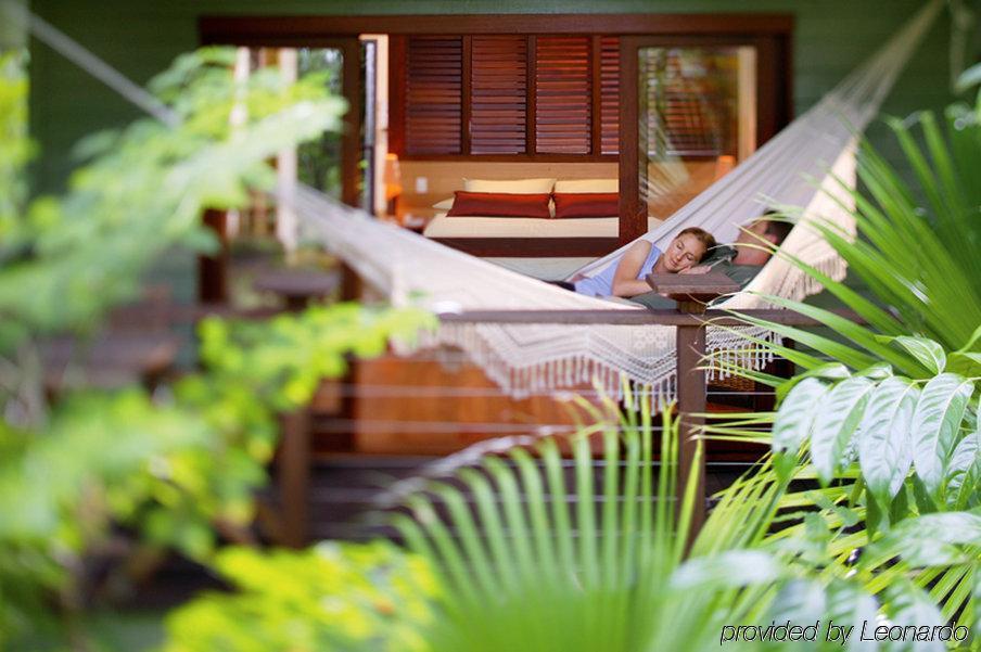 Silky Oaks Lodge Mossman Exteriér fotografie